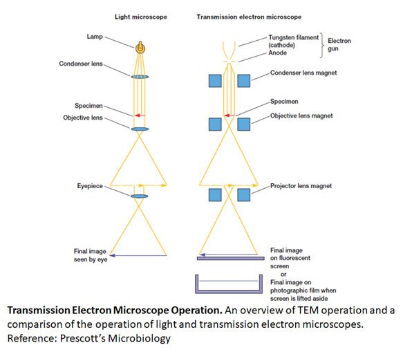 working principle of electron microscope