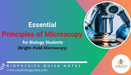 microscopy quick notes