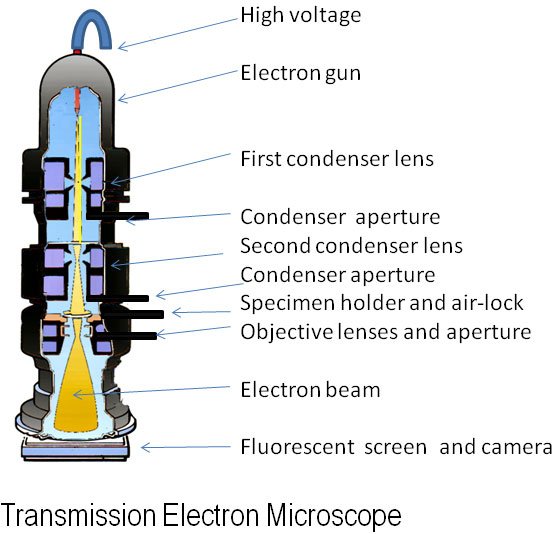 principle of TEM