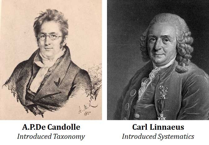 systematics in plant taxonomy