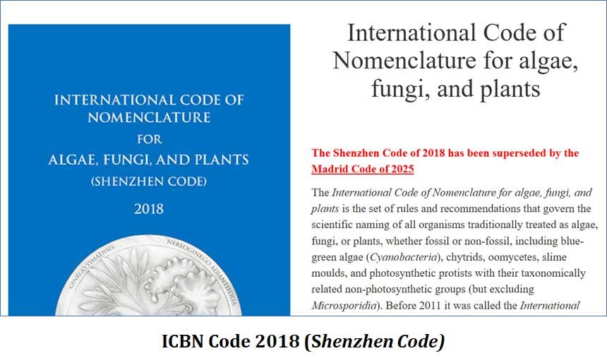 icbn shenzhen code 20218