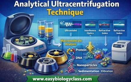 analytical-ultracentrifugation